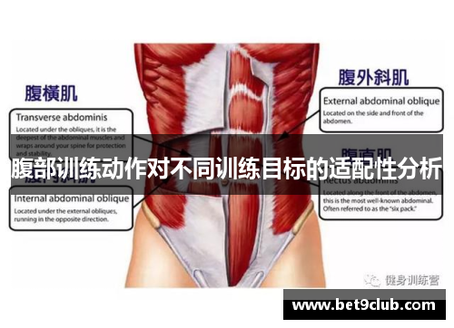 腹部训练动作对不同训练目标的适配性分析
